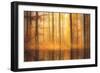 Nature Is Magic-Philippe Sainte-Laudy-Framed Photographic Print