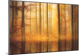 Nature Is Magic-Philippe Sainte-Laudy-Mounted Photographic Print