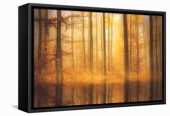 Nature Is Magic-Philippe Sainte-Laudy-Framed Stretched Canvas