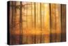 Nature Is Magic-Philippe Sainte-Laudy-Stretched Canvas