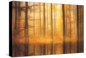 Nature Is Magic-Philippe Sainte-Laudy-Stretched Canvas