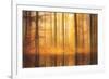 Nature Is Magic-Philippe Sainte-Laudy-Framed Photographic Print