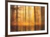 Nature Is Magic-Philippe Sainte-Laudy-Framed Photographic Print