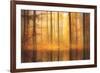 Nature Is Magic-Philippe Sainte-Laudy-Framed Photographic Print