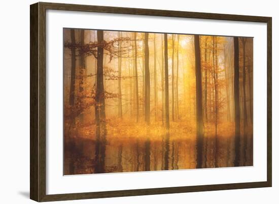 Nature Is Magic-Philippe Sainte-Laudy-Framed Photographic Print