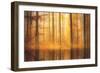 Nature Is Magic-Philippe Sainte-Laudy-Framed Premium Photographic Print