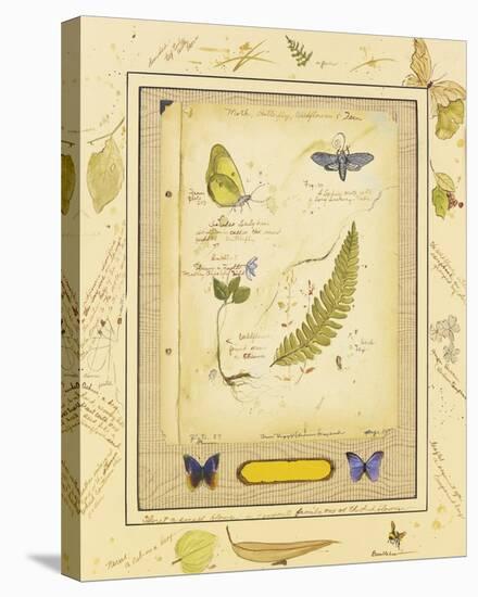 Nature Journal ll-Peggy Abrams-Stretched Canvas