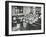 Nature Lesson, Albion Street Girls School, Rotherhithe, London, 1908-null-Framed Premium Photographic Print