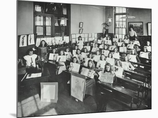 Nature Lesson, Albion Street Girls School, Rotherhithe, London, 1908-null-Mounted Photographic Print