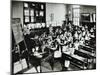 Nature Lesson, Class Iiib, Albion Street Girls School, Rotherhithe, London, 1908-null-Mounted Premium Photographic Print