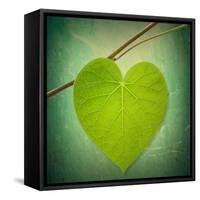 Nature Lover-Philippe Sainte-Laudy-Framed Stretched Canvas