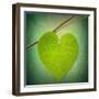 Nature Lover-Philippe Sainte-Laudy-Framed Photographic Print