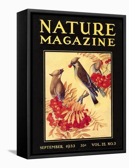 Nature Magazine Cover, Birds-null-Framed Stretched Canvas