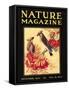 Nature Magazine Cover, Birds-null-Framed Stretched Canvas