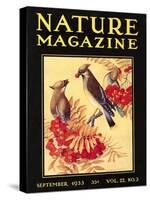 Nature Magazine Cover, Birds-null-Stretched Canvas