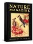 Nature Magazine Cover, Birds-null-Framed Stretched Canvas