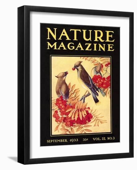 Nature Magazine Cover, Birds-null-Framed Art Print