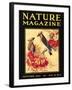 Nature Magazine Cover, Birds-null-Framed Art Print