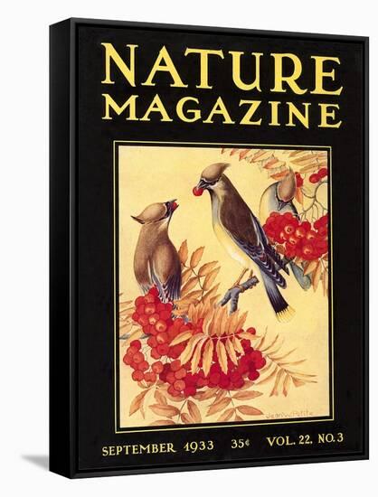 Nature Magazine Cover, Birds-null-Framed Stretched Canvas