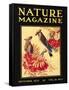 Nature Magazine Cover, Birds-null-Framed Stretched Canvas