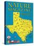 Nature Magazine - Detailed Map of Texas State with Scenic Spots to Visit, c.1930-Lantern Press-Stretched Canvas