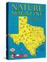 Nature Magazine - Detailed Map of Texas State with Scenic Spots to Visit, c.1930-Lantern Press-Stretched Canvas