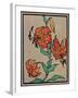 Nature Magazine - Sketch of Tiger Lilies, c.1930-Lantern Press-Framed Art Print