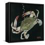 Nature Magazine - View of a Blue Crab, c.1933-Lantern Press-Framed Stretched Canvas