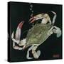 Nature Magazine - View of a Blue Crab, c.1933-Lantern Press-Stretched Canvas