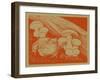 Nature Magazine - View of a Bullfrog by a Patch of Mushrooms, c.1941-Lantern Press-Framed Art Print