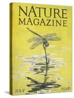 Nature Magazine - View of a Dragonfly over a Pond, c.1926-Lantern Press-Stretched Canvas