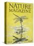 Nature Magazine - View of a Dragonfly over a Pond, c.1926-Lantern Press-Stretched Canvas