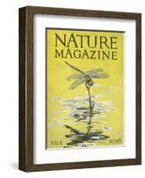 Nature Magazine - View of a Dragonfly over a Pond, c.1926-Lantern Press-Framed Art Print