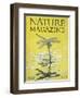 Nature Magazine - View of a Dragonfly over a Pond, c.1926-Lantern Press-Framed Art Print