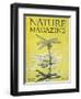 Nature Magazine - View of a Dragonfly over a Pond, c.1926-Lantern Press-Framed Art Print