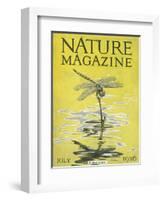 Nature Magazine - View of a Dragonfly over a Pond, c.1926-Lantern Press-Framed Art Print