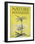 Nature Magazine - View of a Dragonfly over a Pond, c.1926-Lantern Press-Framed Art Print