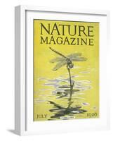 Nature Magazine - View of a Dragonfly over a Pond, c.1926-Lantern Press-Framed Art Print