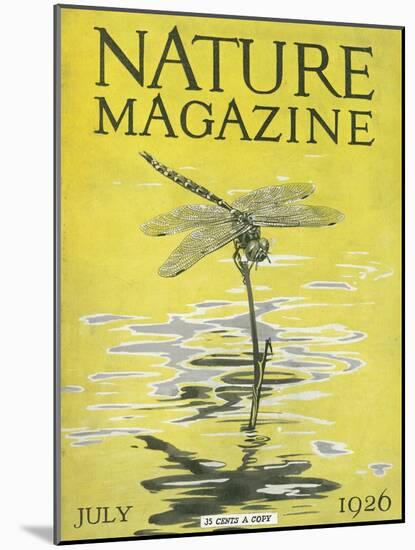 Nature Magazine - View of a Dragonfly over a Pond, c.1926-Lantern Press-Mounted Art Print