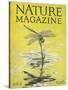 Nature Magazine - View of a Dragonfly over a Pond, c.1926-Lantern Press-Stretched Canvas