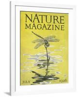 Nature Magazine - View of a Dragonfly over a Pond, c.1926-Lantern Press-Framed Art Print