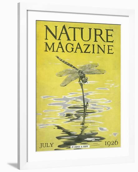 Nature Magazine - View of a Dragonfly over a Pond, c.1926-Lantern Press-Framed Art Print