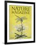 Nature Magazine - View of a Dragonfly over a Pond, c.1926-Lantern Press-Framed Art Print