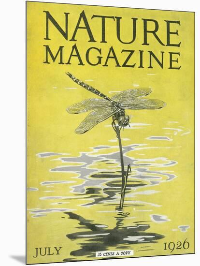 Nature Magazine - View of a Dragonfly over a Pond, c.1926-Lantern Press-Mounted Art Print