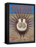 Nature Magazine - View of a Greater Sage-Grouse Bird All Puffed Up, c.1932-Lantern Press-Framed Stretched Canvas