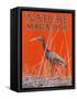 Nature Magazine - View of a Ibis in a Marsh, c.1926-Lantern Press-Framed Stretched Canvas