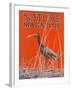 Nature Magazine - View of a Ibis in a Marsh, c.1926-Lantern Press-Framed Art Print