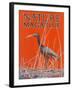 Nature Magazine - View of a Ibis in a Marsh, c.1926-Lantern Press-Framed Art Print