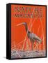 Nature Magazine - View of a Ibis in a Marsh, c.1926-Lantern Press-Framed Stretched Canvas