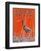 Nature Magazine - View of a Ibis in a Marsh, c.1926-Lantern Press-Framed Art Print